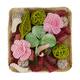 Potpourri with acacia plate nature 25.5x25.5x8cm