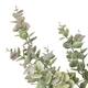 Branch eucalyptus artificial 40x20x12cm - Green