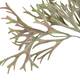 Branch platycerium artificial 38x20x10cm - Purple