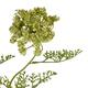 Branch dill artificial 75x20x12cm