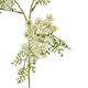 Branch dill artificial 75x20x12cm - White