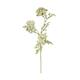 Branch dill artificial 75x20x12cm - White