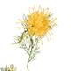 Branch chrysanthemum artificial 68x20x8cm - Orange