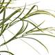 Branch barley grass artificial 60x30x10cm - Green