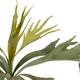 Branch platycerium artificial 50x30x10cm - Green