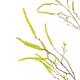 Branch plants spray artificial 108x30x6cm