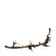 Branch pear 80cm - Natural