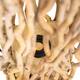 Floor lamp branch with lights chestnut 13x13x115cm
