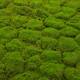 Moss sheet with adhesive edge PU 100x100x4cm