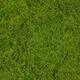 Moss sheet PU 200x100x4cm - Green