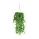 Plant dischidia PE with hanger 18x18x80cm - Green