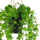 Plant eucalyptus PE with hanger 15x15x70cm - Green