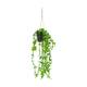 Plant eucalyptus PE with hanger 15x15x70cm - Green