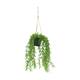 Plant senecio PE with hanger 15x15x60cm