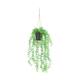 Plant adiantum PE with hanger 16x16x72cm