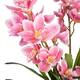 Plant cymbidium artificial 40x40x150cm - Pink