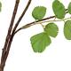 Branch Acacia leaf spray artificial 132x58x20cm