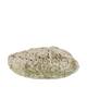 Shell abalone large nature 14x11x2.5cm - Natural