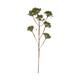 Branch heracleum artificial 115x40x10cm - Green