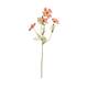 Branch cosmea artificial 25x31x60cm