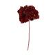 Bunch hydrangea preserved nature 60x20x25cm Red