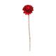 Fleur sola belli nature 70x12x12cm rouge