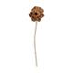 Blume Jacaranda Natur 70x15x15cm Natur