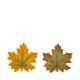 Tray leaf ceramic 21x21x2.8cm C/2