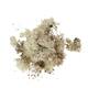 Moss reindeer 50gr nature 14x8x10cm - Natural