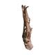 Root teak wood 70x50x155cm