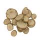 Bundle wood slices 250gr oak wood 10x5x21cm