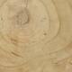 Tray heart paulownia wood 36x31x9cm - Natural
