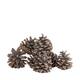 Pinecone 200gr nature 29x17x5.5cm