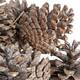 Pinecone 200gr nature 29x17x5.5cm