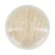 Bell round with paulownia wood base glass 17x17x25cm