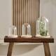 Bell round with paulownia wood base glass 17x17x25cm