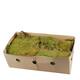 Moss flat 2kg in box moss 59x29x19cm