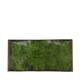 Mousse - 500gr - Naturel - 48x35x24cm - Vert