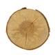 Slice round birch 30x30x2.5cm