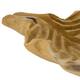Bol Iris - Bois de teck - 50x33x10cm - Beige