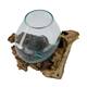 Wortel - Teakhout met glas - 28x22x26cm - Natuurlijk