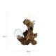 Root gamal wood with glass 20x12x30cm