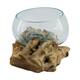 Root gamal wood with glass 33x23x18cm