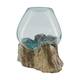 Root washed gamal wood with glass 28x22x26cm