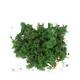 Mousse - Mousse de renne - 40gr - Naturel - 10x4x22cm - Vert