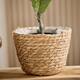 Basket round seagrass with plastic 19x19x18cm- Natural