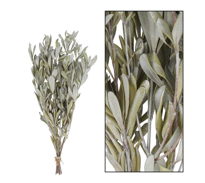 Dried flower mealy banksia foliage 80gr nature 60x30x10cm - Silver