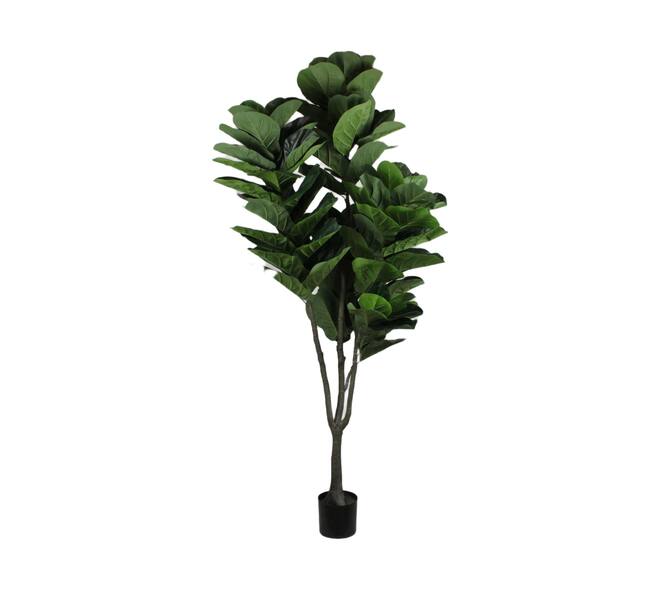 Plant ficus lyrata artificial 100x90x230cm - Green