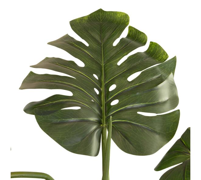 Plant monstera artificial 120x120x210cm - Green