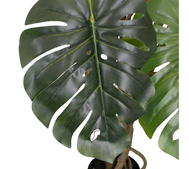 Plant monstera artificial 120x120x210cm - Green